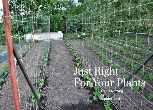AlpineReach Trellis Netting 5 x 350 ft Heavy Duty Polyester White - 6 Inch Mesh Support Twine for Growing High Yield Tomatoes, Peas, Vine Climbing Plants Fruits Vegetables - Image 6