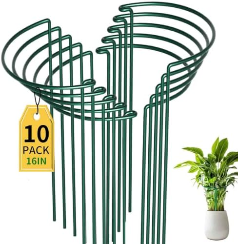 TCBWFY 10 Pack Garden Plant Support Stakes,10" Widex16 High Heavy Duty Interlinked Half Round Peony Support Ring Cage for Indoor Outdoor Plants,Plant Supports for Peony,Tomato,Hydrangea,Rose by TCBWFY
