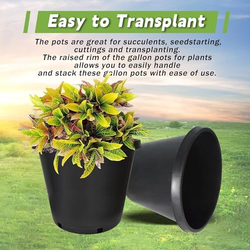 HOSTIC 15 Gallon Flexible Nursery Pots Gallon Pot with Drainage Holes Plastic Plant Container Suitable for Indoor Outdoor Vegetables Flowers Plants 10 PCS - Image 5