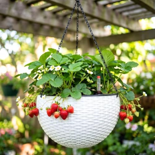 LaLaGreen Hanging Pots for Indoor (11in, 3 Pack) Self-Watering Plant Holder by L%C3%A1L%C3%A1Green