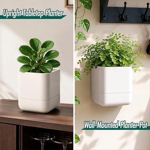 Phoenix Vine 4.5 Inch Wall Mounted Self-Watering Planter Pot for Indoor Houseplants and Herbs | Hanging Planter for Window Sills, Bathroom Walls, Home & Office Décor, Oatmeal, Set of 3, 01-B-G-3 - Image 4