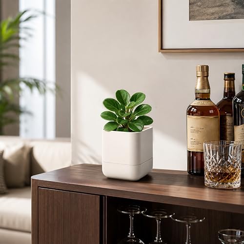 Phoenix Vine 4.5 Inch Wall Mounted Self-Watering Planter Pot for Indoor Houseplants and Herbs | Hanging Planter for Window Sills, Bathroom Walls, Home & Office Décor, Oatmeal, Set of 1, 01-B-G-1 - Image 7