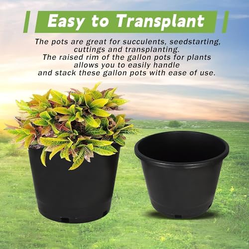 HOSTIC Short 5 Gallon Flexible Nursery Pots Gallon Pot with Drainage Holes Plastic Plant Container Suitable for Indoor Outdoor Vegetables Flowers Plants 10 PCS - Image 5