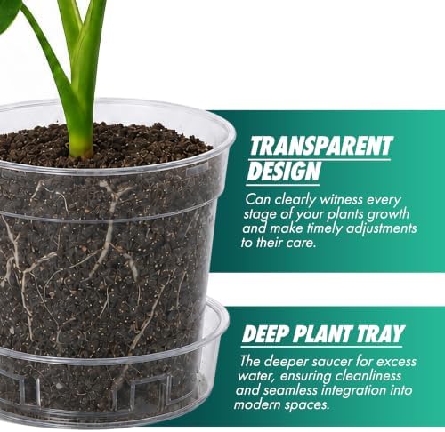 3 Inch Clear Plastic Plant Pot with Drainage Holes, Interlocking & Detachable Tray - Deep Saucer - Durable BPA-Free Plastic, Transparent Design, Raised Base for Airflow, Set of 12, 92-X-B-1 - Image 4
