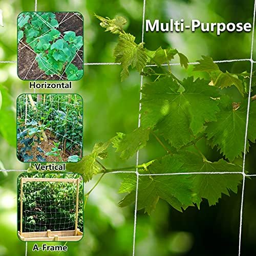 Toolazy Trellis Netting 5 x 750 ft - Heavy Duty Nylon Garden Netting with 6 Inch Mesh, Soft Plant Support Net for Tomatoes, Cucumbers, Peas, Vine Climbing Vegetables, Indoor Outdoor Greenhouse - Image 4