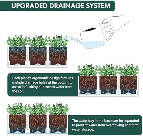 D'vine Dev Acrylic Herb Garden Planter Set, Clear, 76-V-D-1 - Image 6
