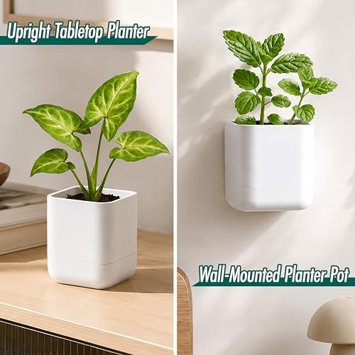 Phoenix Vine 3.5 Inch Wall Mounted Self-Watering Planter Pot for Indoor Houseplants and Herbs | Hanging Planter for Window Sills, Bathroom Walls, Home & Office Décor, White, Set of 1, 01-A-D-1 - Image 4