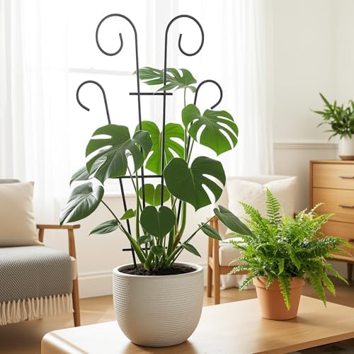 Thealyn 4 Pack 23 Inch Plant Trellis for Potted Plants - Image 5