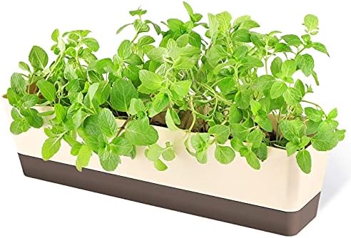 GREANER Window Boxes, 1 Pack 16 x3.8 Inch Indoor Rectangle Planter, Herb Succulent Cactus Window Box with Saucer, Modern Plastic Plant Pot for Windowsill, Garden Balcony, Home Office Outdoor Decor by GREANER