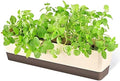 GREANER Window Boxes, 1 Pack 16 x3.8 Inch Indoor Rectangle Planter, Herb Succulent Cactus Window Box with Saucer, Modern Plastic Plant Pot for Windowsill, Garden Balcony, Home Office Outdoor Decor by GREANER