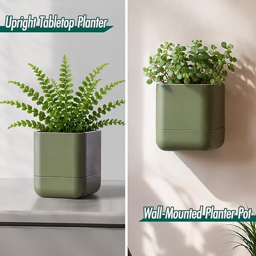 Phoenix Vine 4.5 Inch Wall Mounted Self-Watering Planter Pot for Indoor Houseplants and Herbs | Hanging Planter for Window Sills, Bathroom Walls, Home & Office Décor, Olive, Set of 2, 01-B-F-2 - Image 4