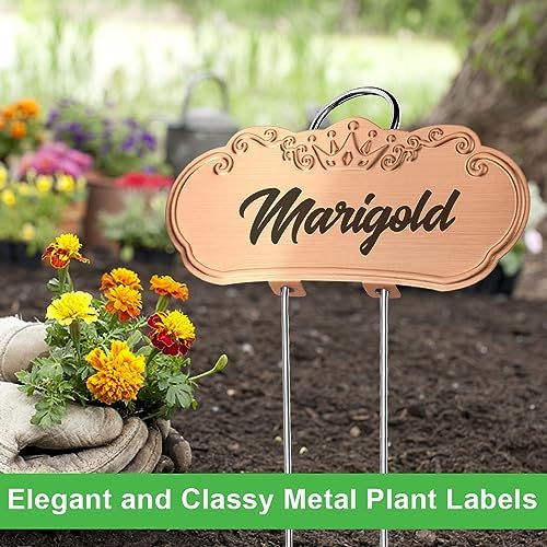 Metal Plant Labels, Waterproof Garden Signs 30 Pack Plant Tags - Image 4