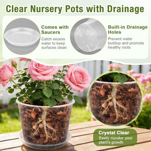 12/10/8/6/4 Inch Clear Nursery Pots with Drainage and Saucers, 20 Pack Large Clear Plastic Nursery Pots for Plants, Seedling Plant Pots for Repotting and Growing Plants, Flowers & Vegetables - Image 3
