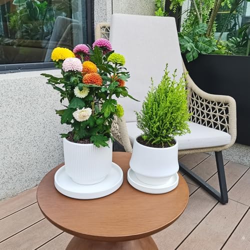 Ceramic Plant Saucer 5 Inch, 2 Pack Round Plant Saucers for Indoors/Outdoors, Flower Pot Saucers for Holding Water Drips and Soil, Ceramic Drainage Tray for Plant Pot(Frosted White) - Image 6