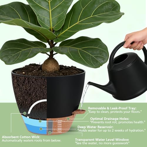 Self Watering Pots with Water Level Indicator, 12" 10" 9" 8" Large Plastic Flower Pots with Mesh Drainage Hole and Removable Saucer Reservoir for Indoor Outdoor Plants 4pcs （Black - Image 2