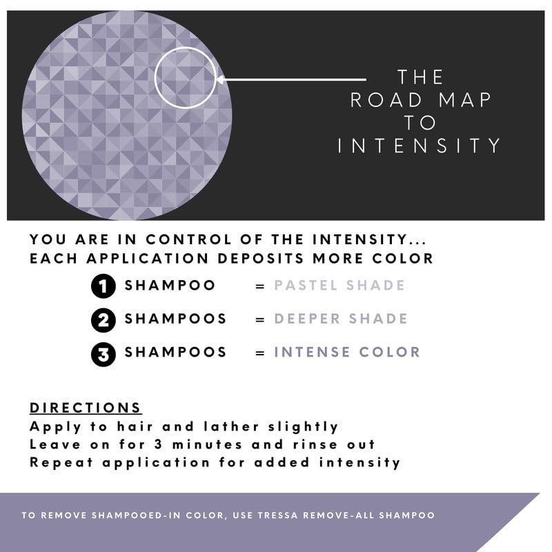 Watercolors INTENSE METALLIC Semi Permanet Color Depositing Shampoo-Sulfate & Paraben Free to Maintain & Enhance Hair Color 8 fl oz - SILVER (2 Count)