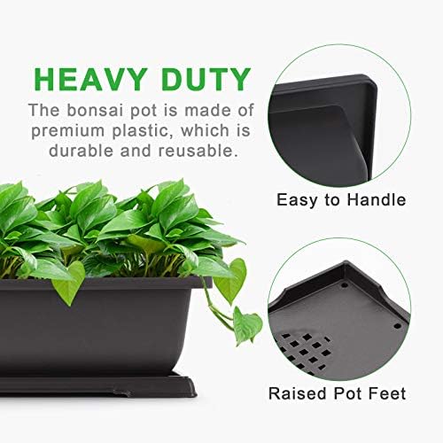 GROWNEER 11 Inch Bonsai Training Pots with Drainage Trays & Repotting Mat - Image 4