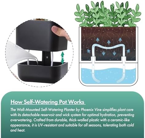 Phoenix Vine 3.5 Inch Wall Mounted Self-Watering Planter Pot for Indoor Houseplants and Herbs | Hanging Planter for Window Sills, Bathroom Walls, Home & Office Décor, Black, Set of 3, 01-A-E-3 - Image 5