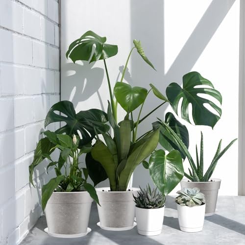 Baderke 3 Pack Clear Nursery Pot,13.65 Inch - Image 2