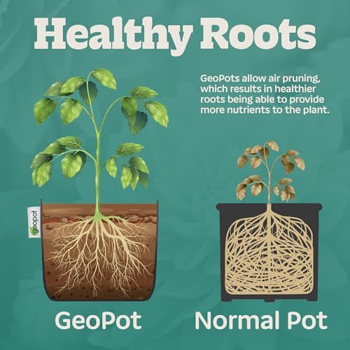 GeoPot 7 Gallon Fabric Grow Bags with Handles - 5-Pack - Black - Indoor/Outdoor - Aerated Fabric Pots for Vegetables, Herbs, Flowers & Houseplants - Image 3