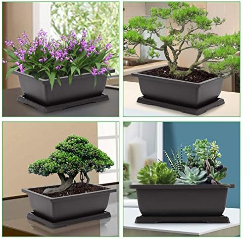 GROWNEER 11 Inch Bonsai Training Pots with Drainage Trays & Repotting Mat - Image 6
