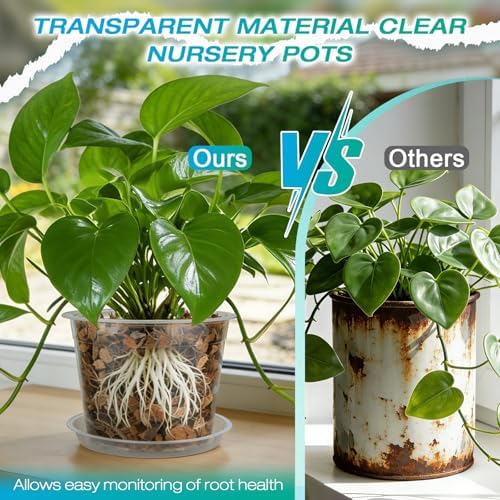 10 Inch Clear Nursery Pots with Drainage and Sacuers, 4 Pack Plastic Pots for Plants Indoor Outdoor, Large Clear Pots for Flowers, Succulents (10inx4pcs) - Image 4