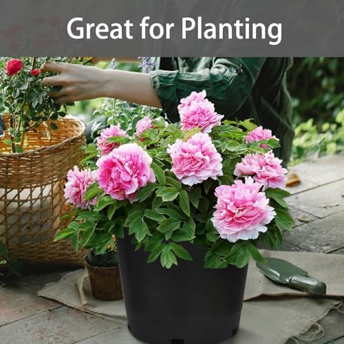 25 Gallon Plant Nursery Pot 5-Pack 25 Gallon Plastic Garden Planter Pots Flower Seedling Injection Molded Container Seed Starting Pot Set for Indoor Outdoor Plants Seedlings Vegetables Black - Image 5