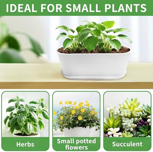 5 Set Window Herb Planter Box Rectangular,8.5x3.5 Inch White Plastic Planters with Multiple Drainage Holes and Trays,Indoor Succulent Cactus Mint Flower Pot for Windowsill,Garden Balcony - Image 4