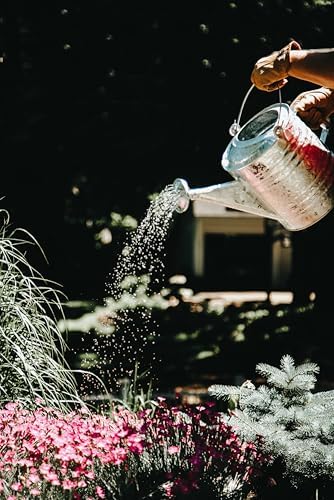 Behrens 2.5 Gallon Hot Dipped Steel Watering Can - Image 3