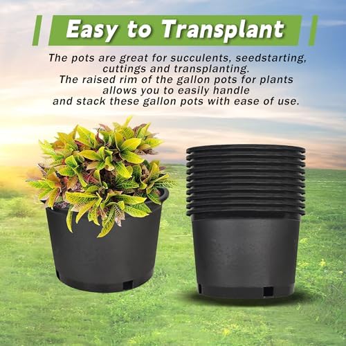 HOSTIC Short 2 Gallon Plastic Plant Container Gallon Pots with Drainage Holes Flexible Nursery Pot Suitable for Indoor Outdoor Vegetables Flowers Plants 10 PCS - Image 6