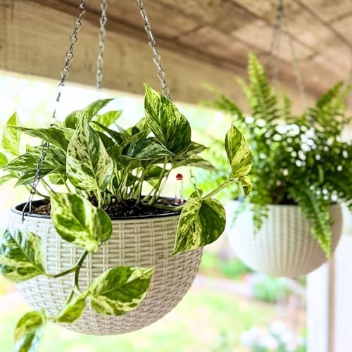 LaLaGreen Hanging Pots for Indoor (11in, 4 Pack) Self-Watering Plant Holder by L%C3%A1L%C3%A1Green