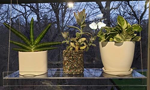 Hanging Acrylic Shelves for Windows (22" Wide, 1 Shelf - 26" Tall) - Image 5