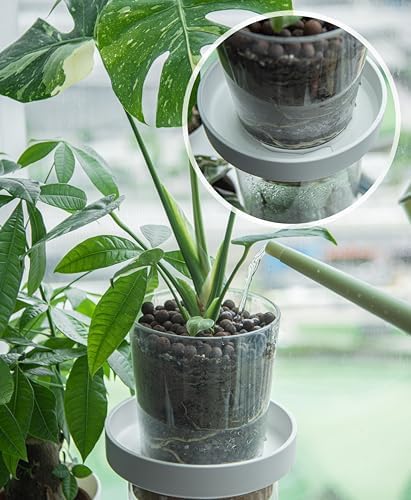 Phoenix Vine 8 Inch Plastic Plant Saucer Water Drip Tray, Heavy Sturdy Round Plant Drainage Tray for Indoors Outdoor, Matte White, 21-TY-8W-1 - Image 5