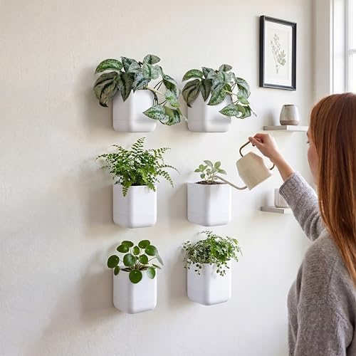 Phoenix Vine 3.5 Inch Wall Mounted Self-Watering Planter Pot for Indoor Houseplants and Herbs | Hanging Planter for Window Sills, Bathroom Walls, Home & Office Décor, White, Set of 6, 01-A-D-6 - Image 2