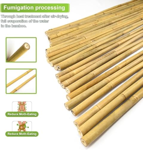 Jollybower 3/10" D 2 Feet Bamboo Stakes 50 Pack, Thicker Heavy-Duty Plant Stakes, Natural Garden Stakes for Bean, Tomato, Bean, Flowers,Trees Potted and Climbing Plant Support - Image 3