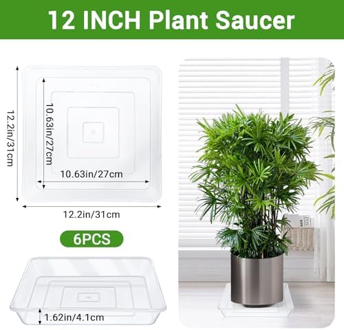 Greaner Clear Plant Plates to Catch Water, 12 Inch Durable Thick Saucer for Flower Pot, Square Plant Saucer Plant Trays for Pots, Flower Pot Saucers to Catch Water Drip Tray(6 Packs) - Image 2