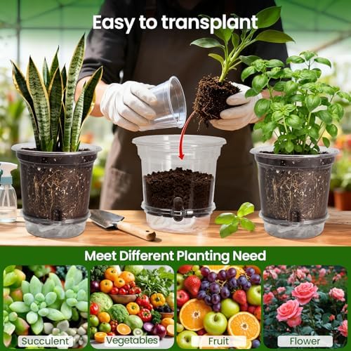 MIXC 12 Pack 6.5 Inch Self Watering Pots for Indoor Plants-Clear Plastic - Image 6