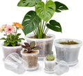 12/10/8/6/4 Inch Clear Nursery Pots with Drainage and Saucers, 20 Pack Large Clear Plastic Nursery Pots for Plants, Seedling Plant Pots for Repotting and Growing Plants, Flowers & Vegetables by FUOAUYK