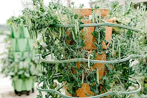 Greenstalk Set of 3 Plant Supports for Growing Tomatoes, Cucumbers, Peppers, Eggplant, and Squash Vertically in a Vertical Planter - Image 5