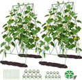 DoCred 39.4" H Cucumber Trellis, 2 Pack Foldable A Frame Garden Trellis by DoCred