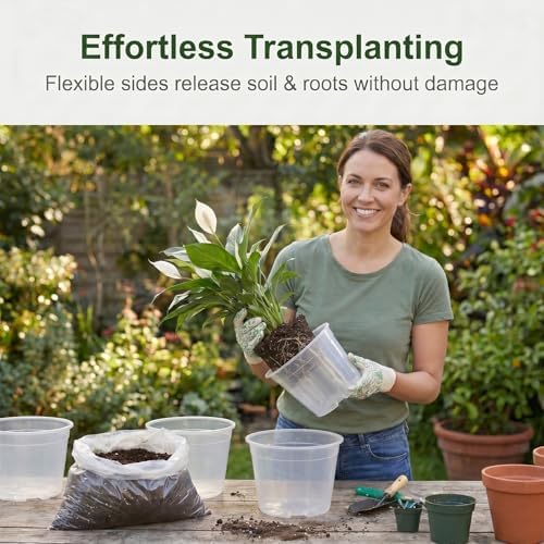 15 Pack 8 Inch Clear Nursery Pots, Large Clear Plant Pots with Drainage - Image 7