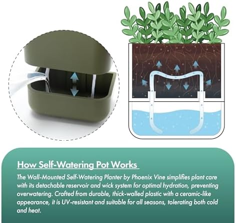 Phoenix Vine 3.5 Inch Wall Mounted Self-Watering Planter Pot for Indoor Houseplants and Herbs | Hanging Planter for Window Sills, Bathroom Walls, Home & Office Décor, Olive, Set of 6, 01-A-F-6 - Image 5