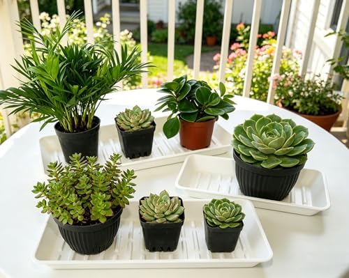 4 Pack Plastic Plant Tray Saucer Rectangular 17 18 Inch, Planter Trays Saucers for Indoor Outdoor, Plant Water Drip Trays, Windowsill, 7.7 x 17.5 Inches, White - Image 4