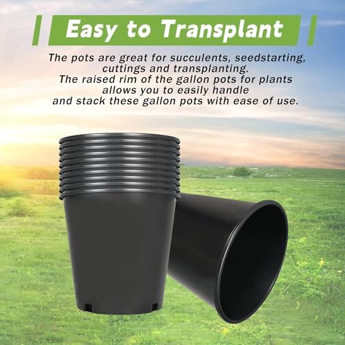 HOSTIC 1 Gallon Flexible Nursery Pots Gallon Pot with Drainage Holes Plastic Plant Container Suitable for Indoor Outdoor Vegetables Flowers Plants 10 PCS - Image 5