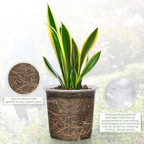 FUIJOL 4/5/6/7 Inch Clear Nursery Pots for Plants with Sacuers 60 Pack, Plastic Flower Pots with Drainage Holes, Variety Pack Seedlings Garden Pot for Indoor Outdoor (4+5+6+7 inch) - Image 3