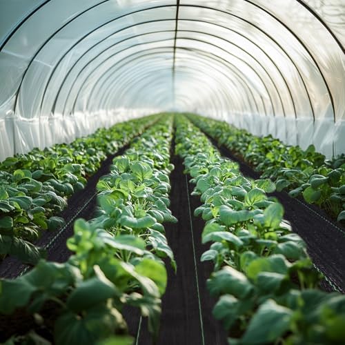 3ft x 250ft Weed Barrier Landscape Fabric Heavy Duty Premium Weed Control Fabric Durable & Eco-Friendly Weed Block Gardening Mat Landscaping Fabric - Image 3