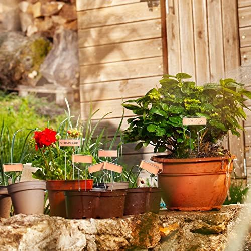 Moxweyeni 60 Pcs Metal Garden Tags Plant Labels,Copper,10 Inch - Image 6