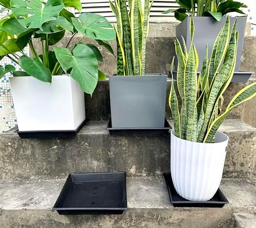 NIMYAU Square Plant Saucer 6 Inch 5 Pack6 8 12 14 16 18 20 Heavy Duty Plastic Plant Saucers for Indoors Outdoors, Plant Trays for Pots, Flower Pot No Holes Plant Drip Trays - Image 7