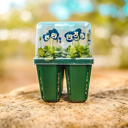Vego garden Seedling Suite Products, 4 Pack Jumbo Seedling Trays with Seedling Tray Lids and 10" x 10" Bottom Watering Trays - Image 6