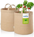 Coolaroo 2-Pack 10 Gallon Heavy Duty Plant Tomato Potato and Other Vegetables and Fruits Breathable Fabric Grow Planter Pot Bag with Handles, Desert Sand by Coolaroo
